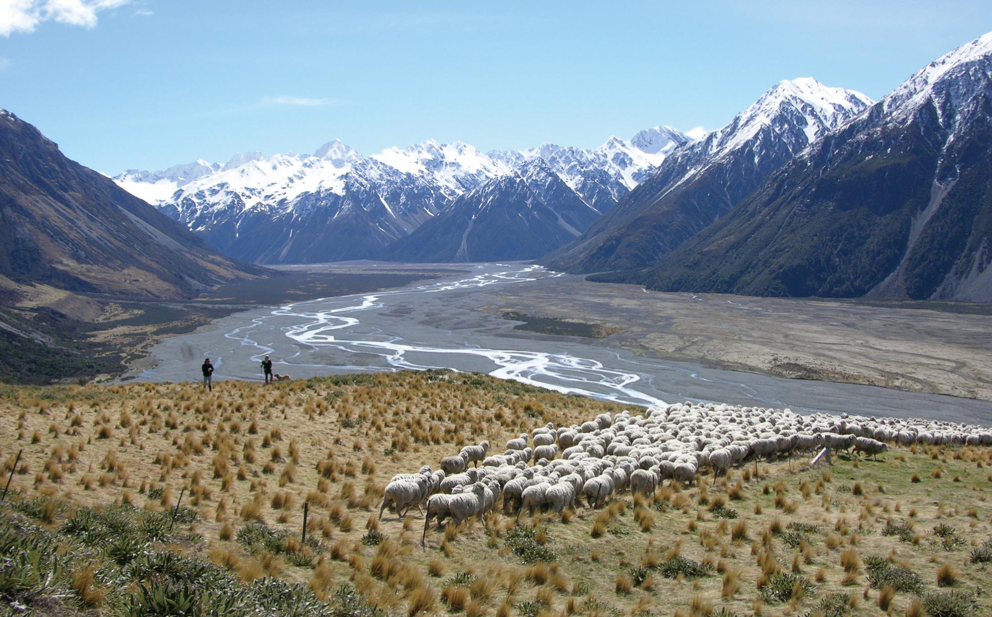 LIVE WITH WOOL ~ Made in NIKKE~