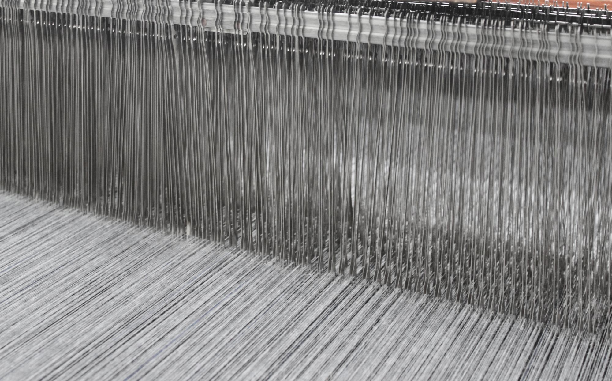 LIVE WITH WOOL ~ Made in NIKKE~